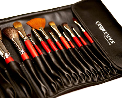 Large pro brush case