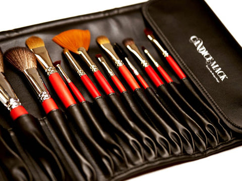 Large pro brush case