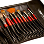 Large pro brush case