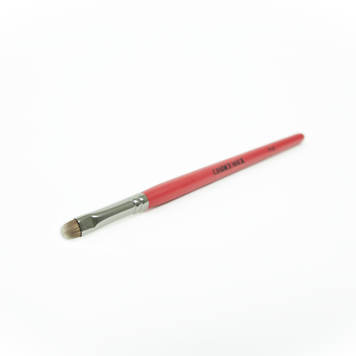 Rounded Lip Brush - PL6