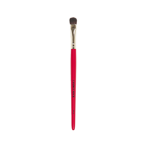 Eyeshadow brush - PP10