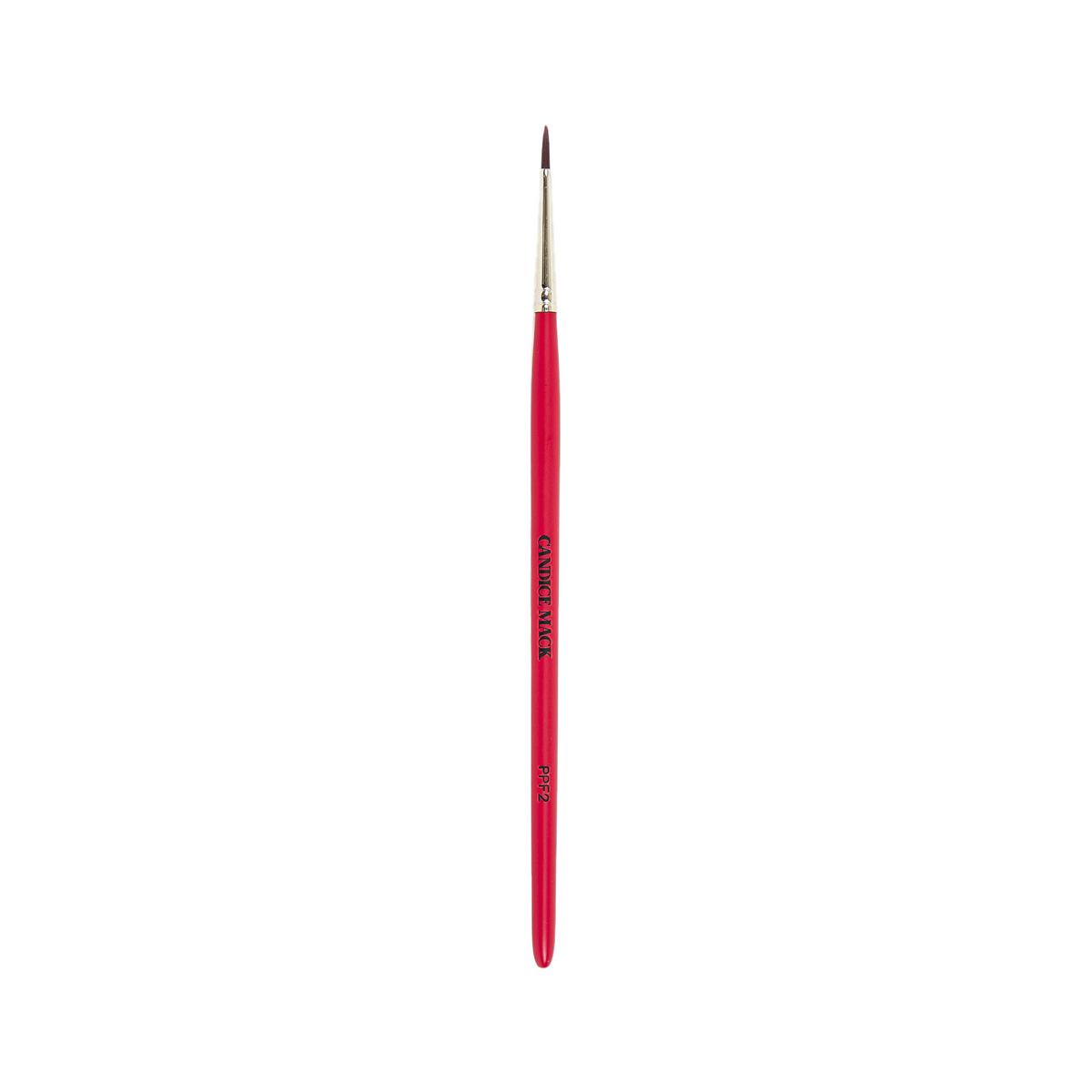 Eyeliner Brush - PPF2