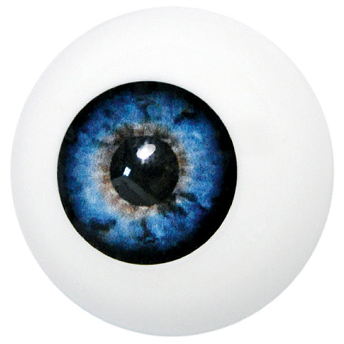 Artificial Eye