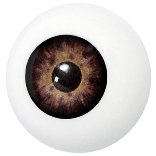 Artificial Eye