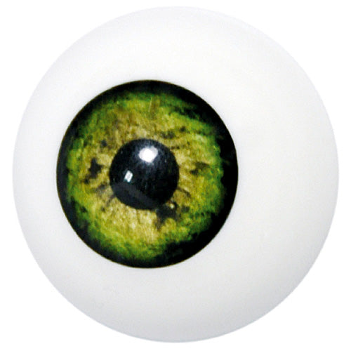 Artificial Eye