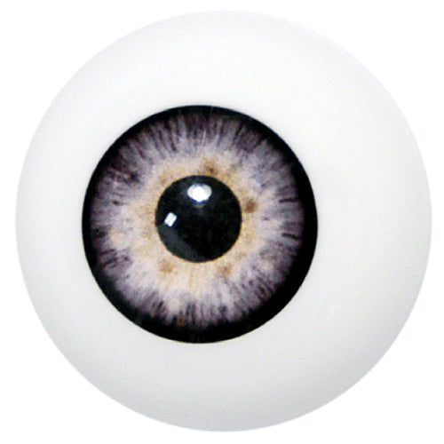 Artificial Eye