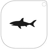 Pochoir 45 – Requin