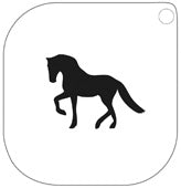 Stencil 47 – Horse