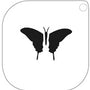 Stencil 58 – Butterfly